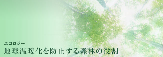 GRW[ ngh~Xт̖