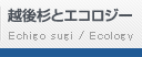 z㐙ƃGRW[