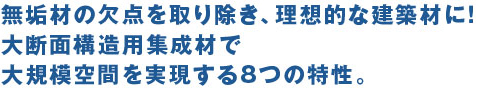 Cނ̌_菜AzIȌzނɁIfʍ\pWނőK͋Ԃ8̓B